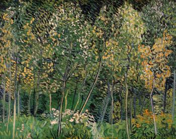 Vincent Van Gogh : The Grove